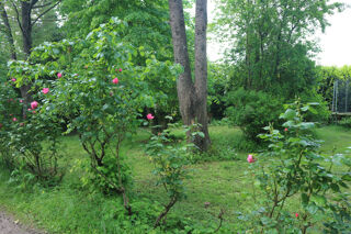  Terrain à vendre 400 m²