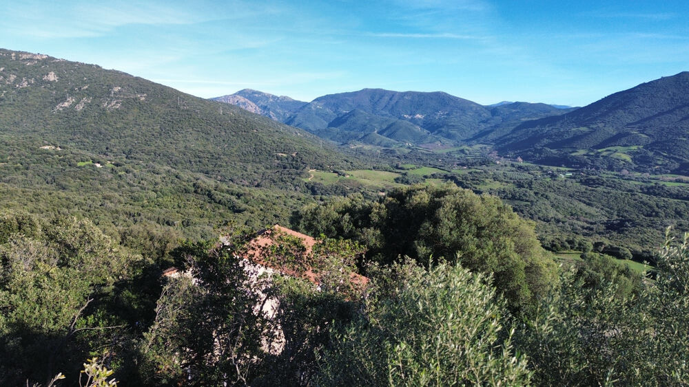Vente Terrain Terrain constructible vue mer à Olmeto   secteur prisé entre Propriano et Olmeto Olmeto