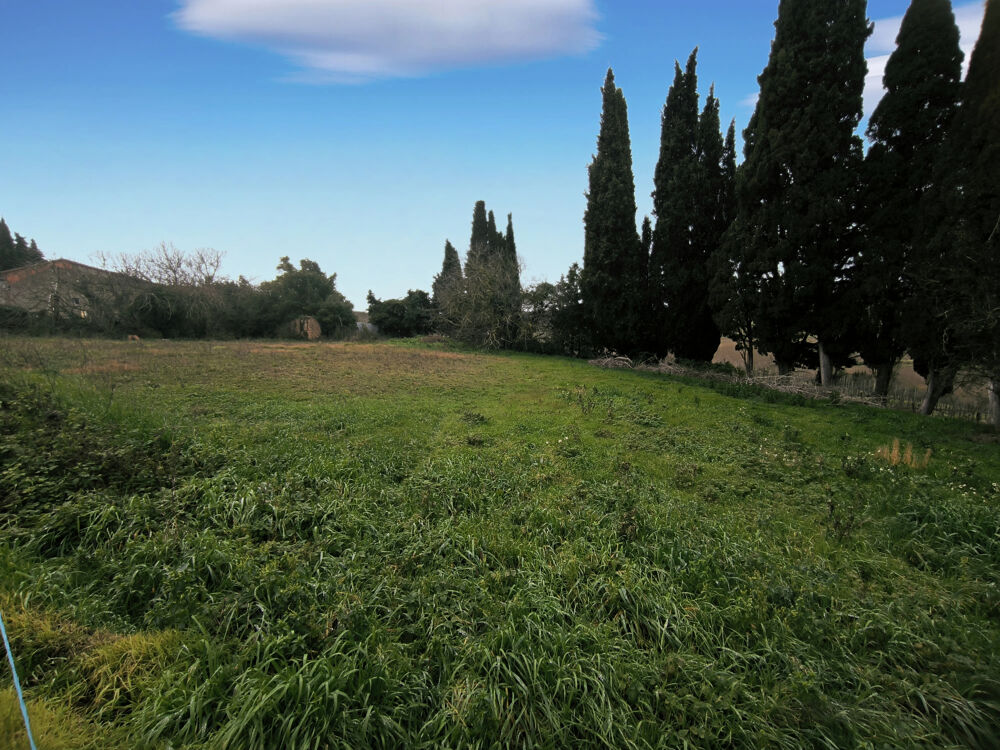 Vente Terrain Beau terrain de 1.660m2 avec CU Alaigne