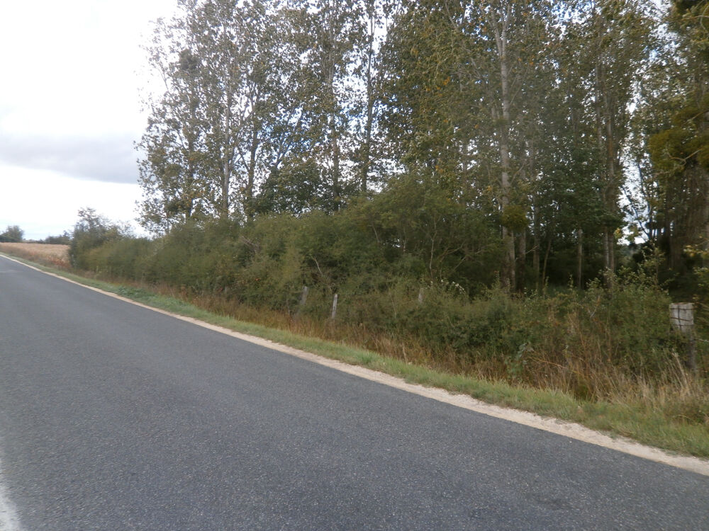 Vente Terrain TERRAIN DE LOISIRS 2370 M2 EN PARTIE BOISEE DE PEUPLIERS St georges sur la pree