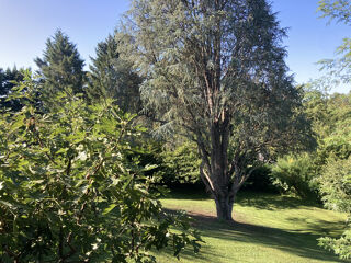  Maison � vendre 6 pi�ces 133 m�