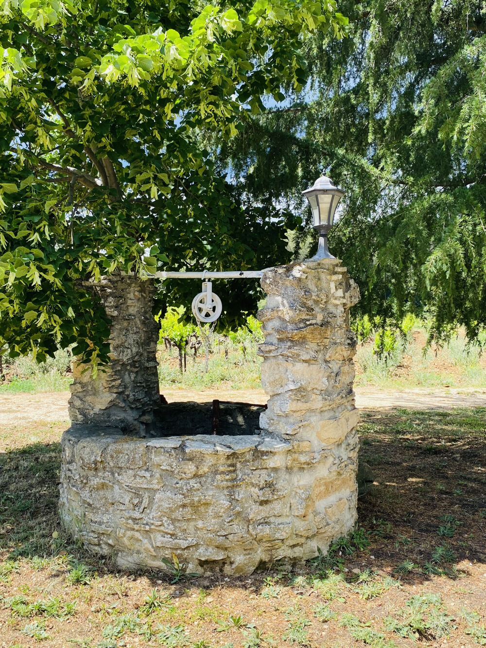 Mas sans vis à vis 156m2 avec dépendances - terrain 1ha campagne