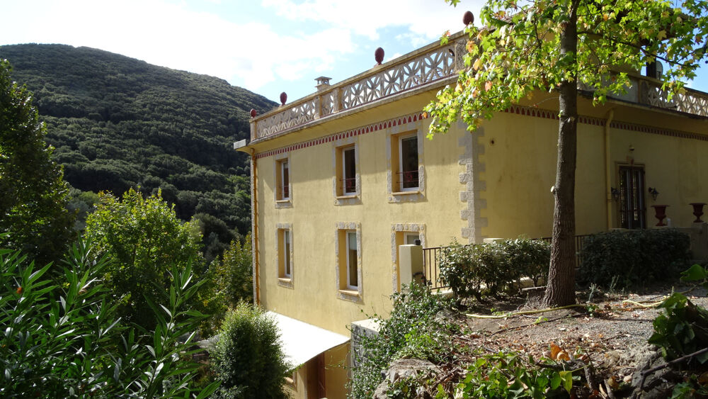 Vente Maison MAISON DE MAITRE DE 400 M2 - SAINTE-LUCIE DE TALLANO Ste lucie de tallano