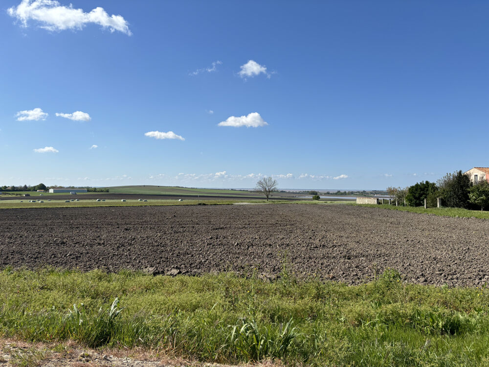 � vendre  Maison Arces (17120)