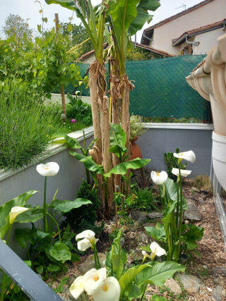 Maison à vendre 4 pièces 99 m²