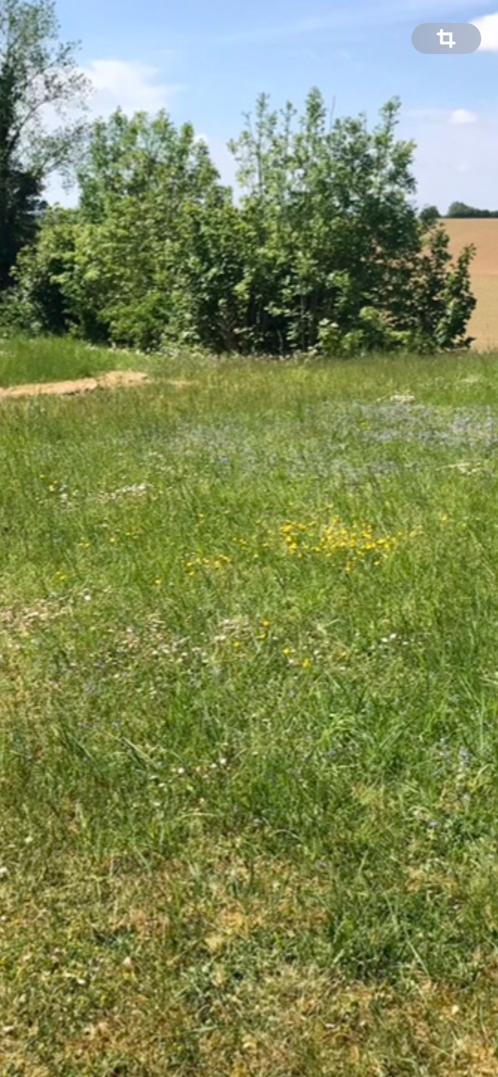 Vente Terrain Terrain de 974m2 � vendre � Ostricourt avec Le TUC VIMY Ostricourt