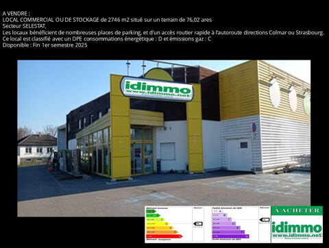 Local Commercial, surface de 2700 m2, situ&eacute; sur la commune de S&Eacute;LESTAT 2625000 67600 Selestat