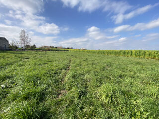  Terrain  vendre 884 m