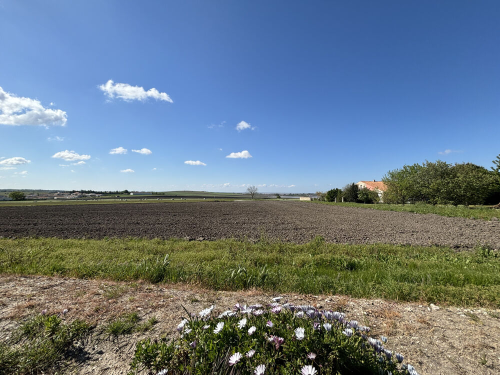 � vendre  Maison Arces (17120)