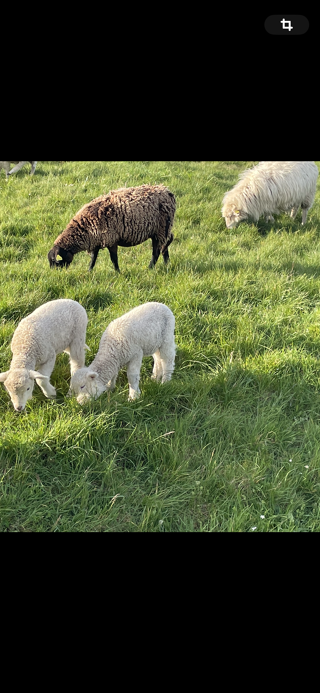  Terrain � vendre 5000 m�