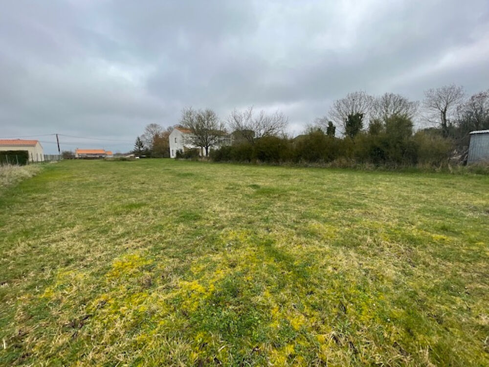 Vente Terrain  Arces Terrain constructible de 1445 m2 Arces