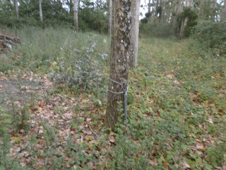  Terrain � vendre 2370 m�