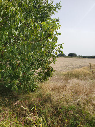  Terrain  vendre 738 m