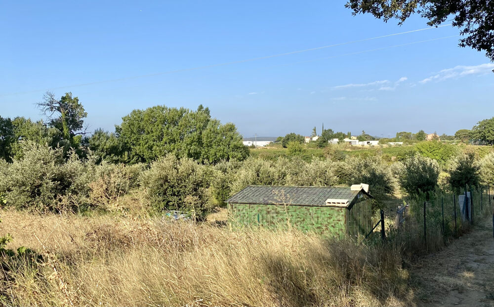 Vente Terrain terrain truffier, safran, verger Ste cecile les vignes