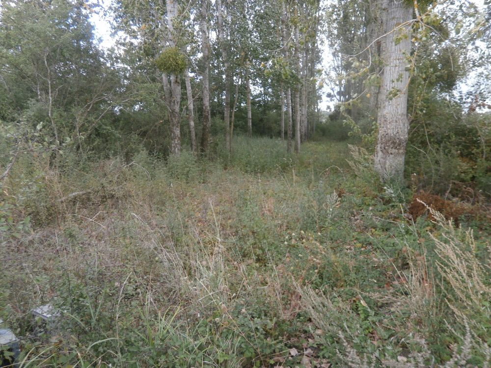Vente Terrain TERRAIN DE LOISIRS 2370 M2 EN PARTIE BOISEE DE PEUPLIERS St georges sur la pree