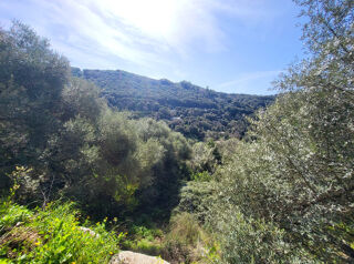  Terrain � vendre 15000 m�