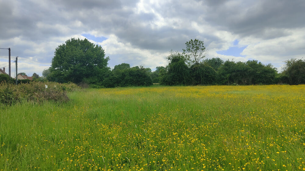 Vente Terrain TERRAIN A BATIR PLAT DE 1000 M2 AVEC TOUT A L' EGOUT DANS UN CADRE VERDOYANT  A 15 MN DE BEAUVAIS VERS GOURNAY Goincourt