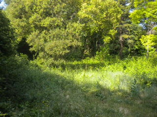  Terrain � vendre 1270 m�