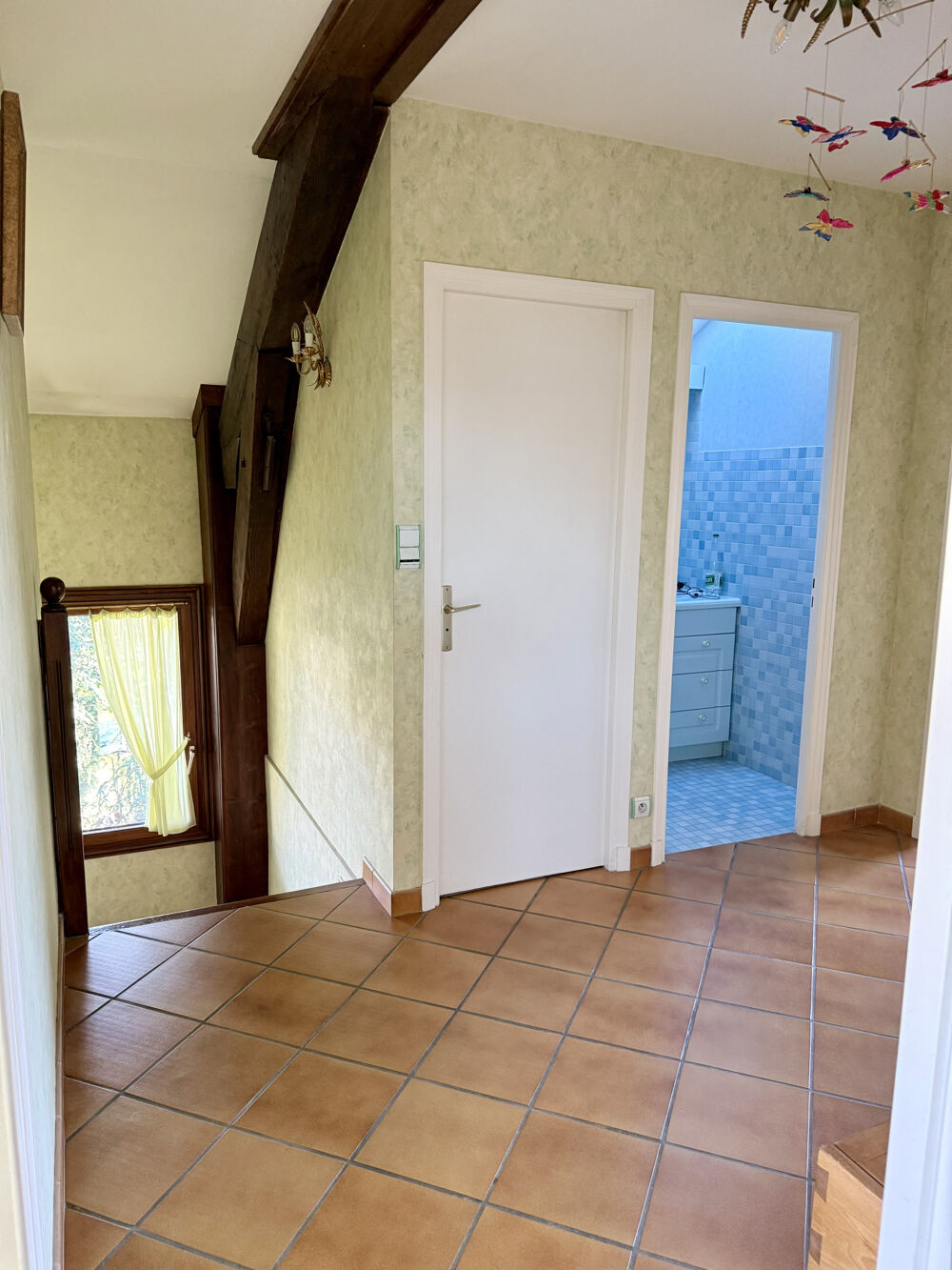 � vendre  Propri�t�/ch�teau Bron (69500)