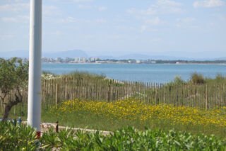  Appartement  vendre 2 pices 26 m