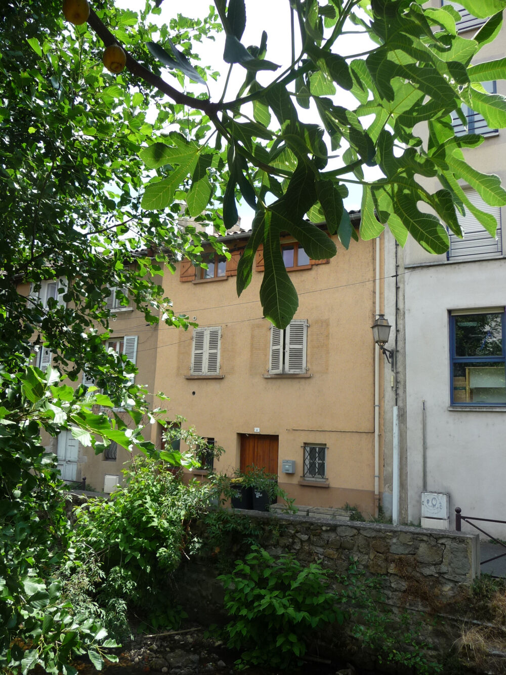 Vente Maison Montbrison centre 'un petit coin de paradis' maison de ville avec cour Montbrison
