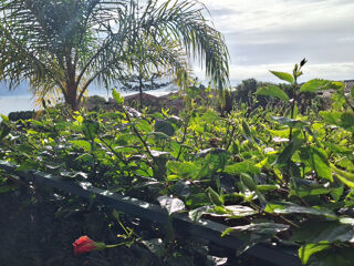  Appartement � vendre 2 pi�ces 43 m�