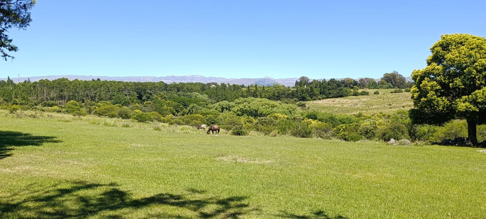 à vendre  Propriété/château Los reartes
