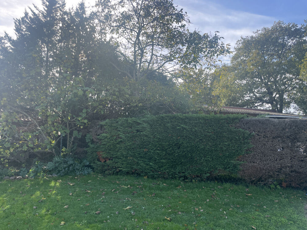 Vente Terrain Terrain 1000m2 viabilisé Roques/Garonne Roques