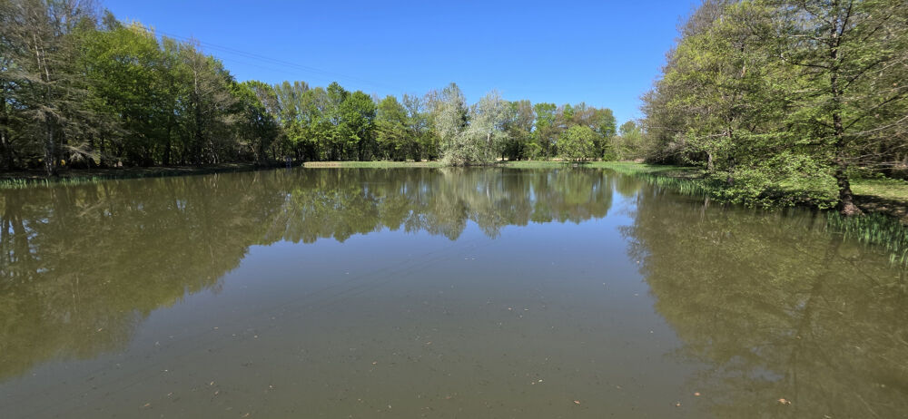 Exclusivité Propriété de 2,6 ha avec étangs à Chailly-en-Gâtinais
