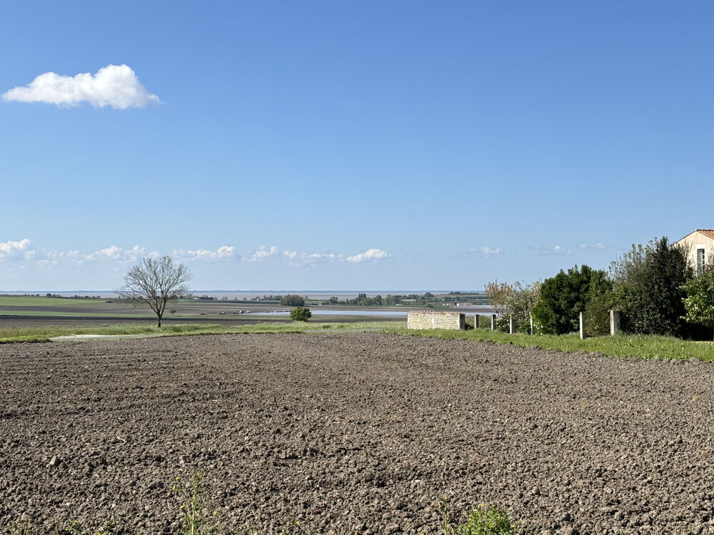 � vendre  Maison Arces (17120)