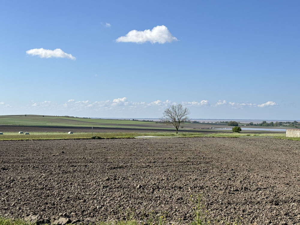 � vendre  Maison Arces (17120)