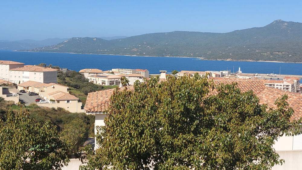 Immobilier de prestige : maison en vente terrasse à Propriano