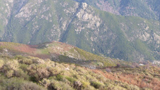  Terrain � vendre 600000 m�