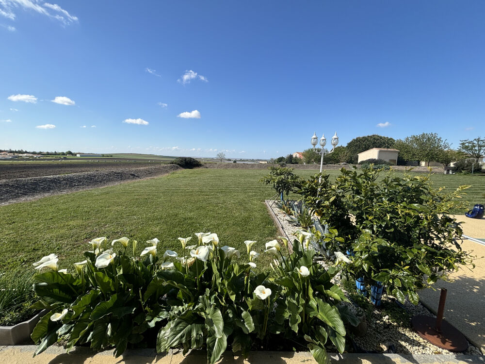 � vendre  Maison Arces (17120)