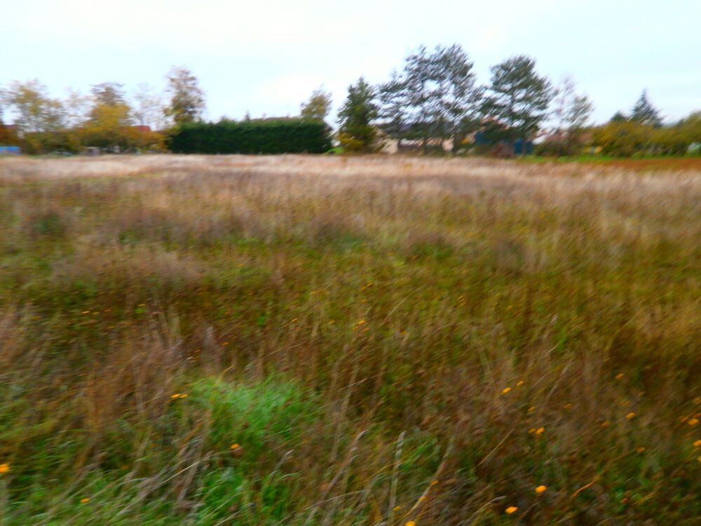 Vente Terrain TERRAIN A BATIR DE 1405 M2 VIABILISIER EAU ET EDF ET T.A.E. Reuilly