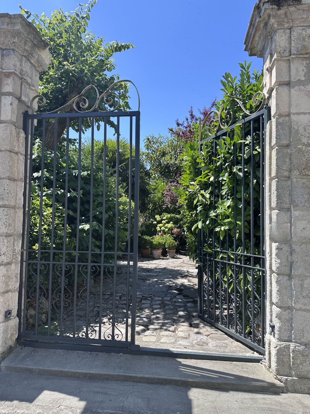 � vendre  Propri�t�/ch�teau Saint-Jean-d'Ang�ly (17400)