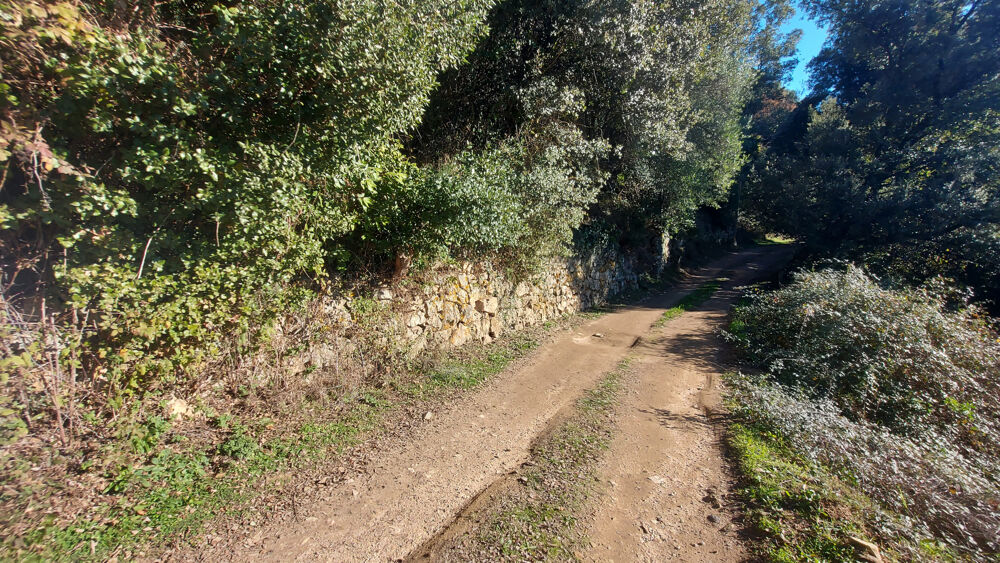 Vente Terrain TERRAIN CONSTRUCTIBLE 2350 M2 -  VICO Vico