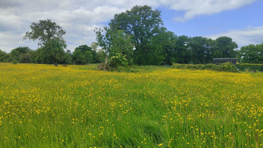 Vente Terrain TERRAIN A BATIR PLAT DE 1000 M2 AVEC TOUT A L' EGOUT DANS UN CADRE VERDOYANT  A 15 MN DE BEAUVAIS VERS GOURNAY Goincourt