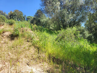  Maison 4 pi�ces 131 m� Sarrola carcopino