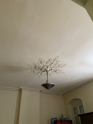  Immeuble � vendre 545 m�