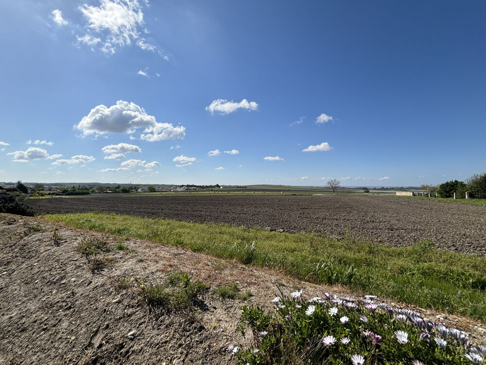 � vendre  Maison Arces (17120)