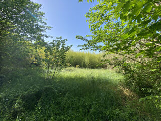  Maison � vendre 12 pi�ces 427 m�