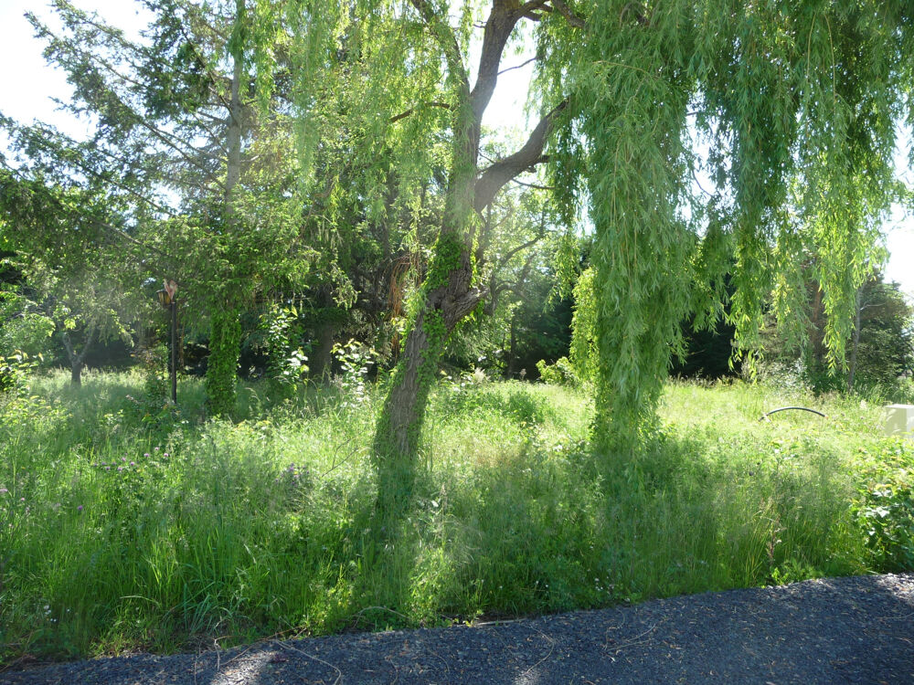 Vente Terrain SAVIGNEUX proche de tout à pied TERRAIN 760 M2 VIABILISE Savigneux