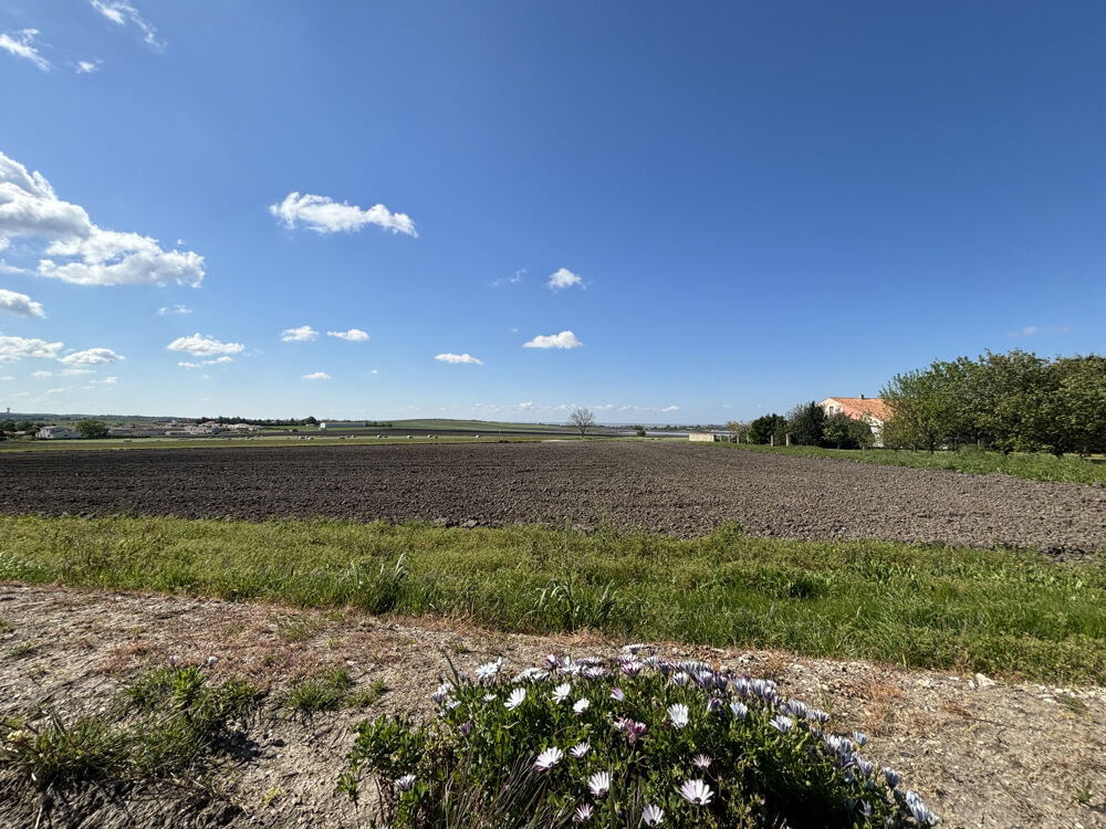 � vendre  Maison Arces (17120)