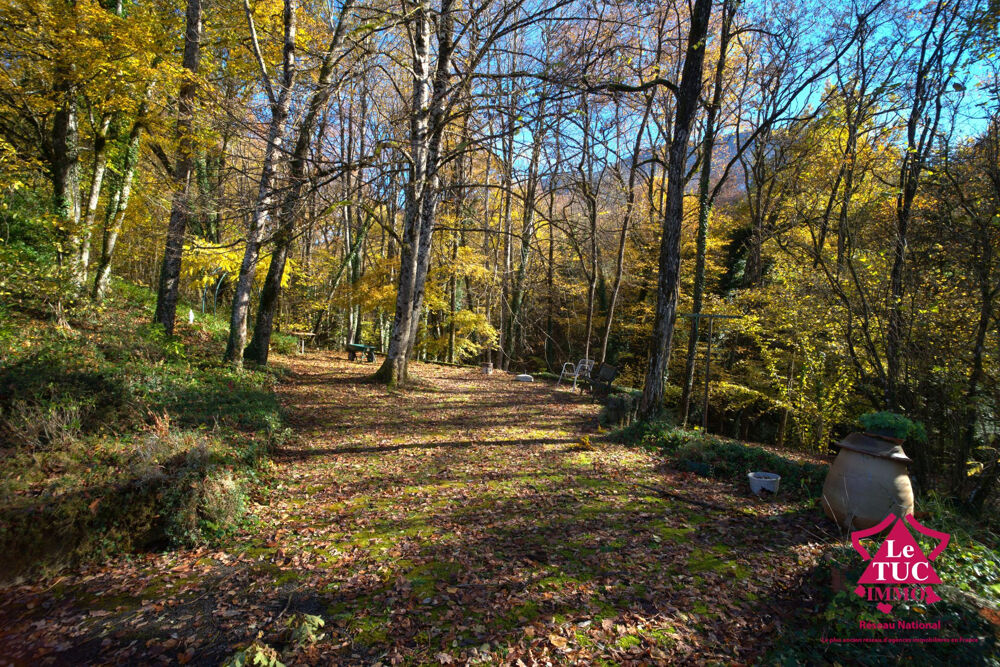 Un véritable havre de paix sur 3000 m2 de terrain arboré