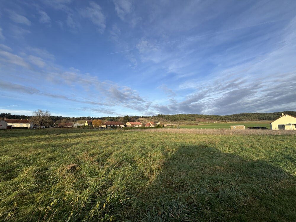 Vente Terrain POINCON LES LARREY (21130) Terrains avec bois et taillis de 14638 m2 dont 2000m2 proche des habitations. Poincon les larrey