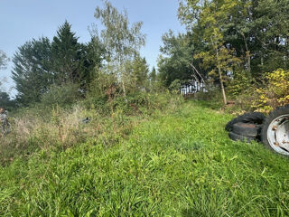  Propriété/château à vendre 10 pièces 200 m²