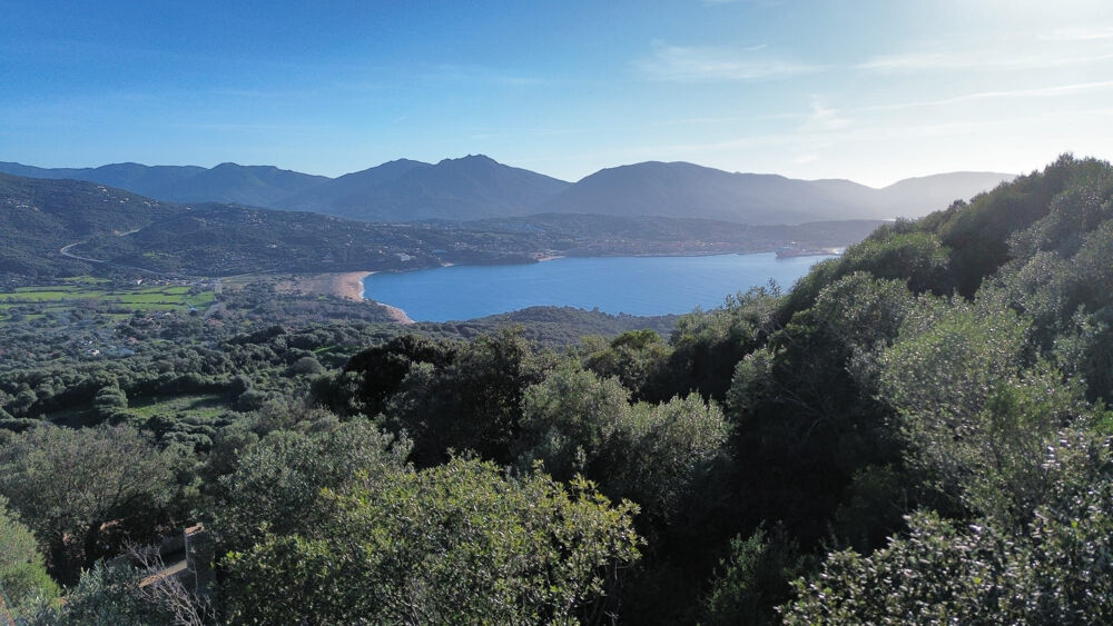 Vente Terrain Terrain constructible vue mer à Olmeto   secteur prisé entre Propriano et Olmeto Olmeto