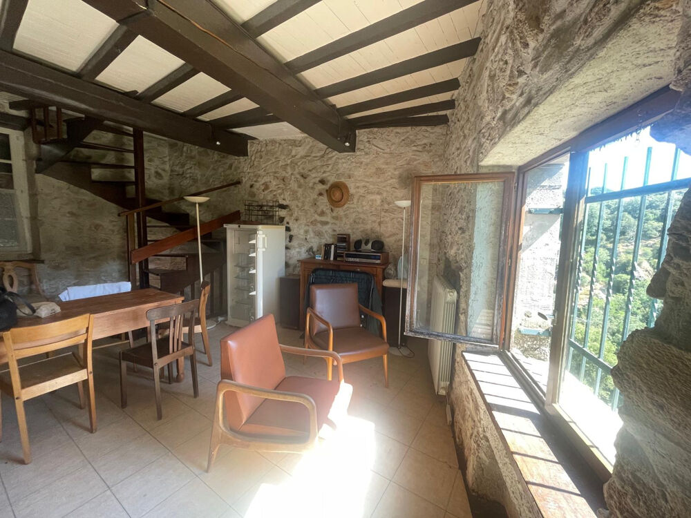 Au coeur du village du livre de Montolieu Maison de village avec vue extraordinaire