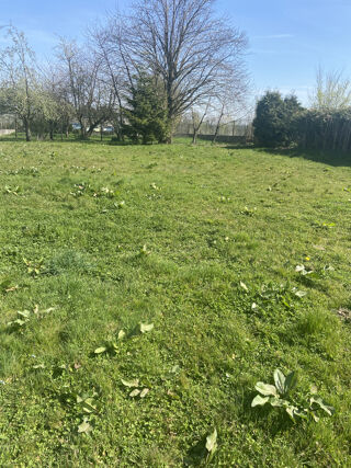  Terrain � vendre 1240 m�